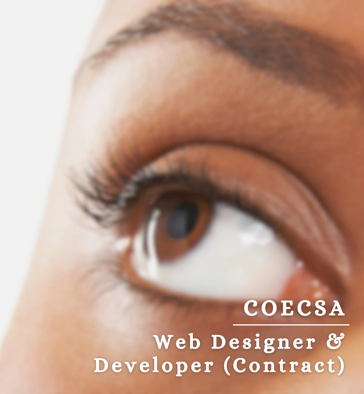 COECSA Project Image